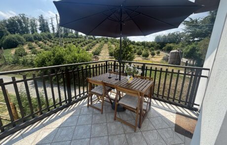 Belvédère – terrasse avec vue Terrasse privée du Belvedère avec parasol et vue panoramique